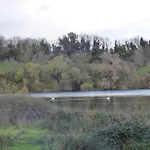 Escape To The Feriehus Belturbet
